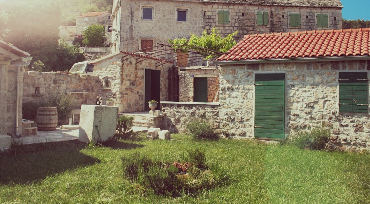 Wine Tasting Brac