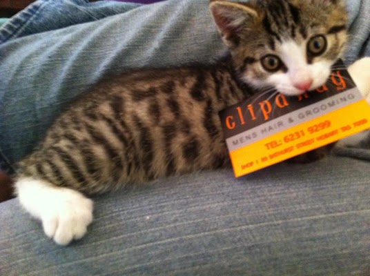 Clipaway Men's Hairdressing