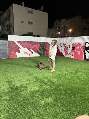 ליאב סביליה אילוף כלבים wedog