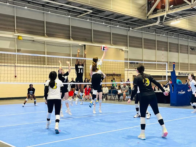 Dallas Arsenal Volleyball Club