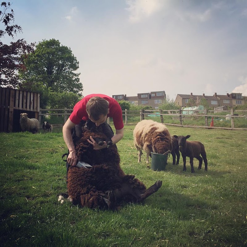 St Werburghs City Farm in St Werburghs, Bristol