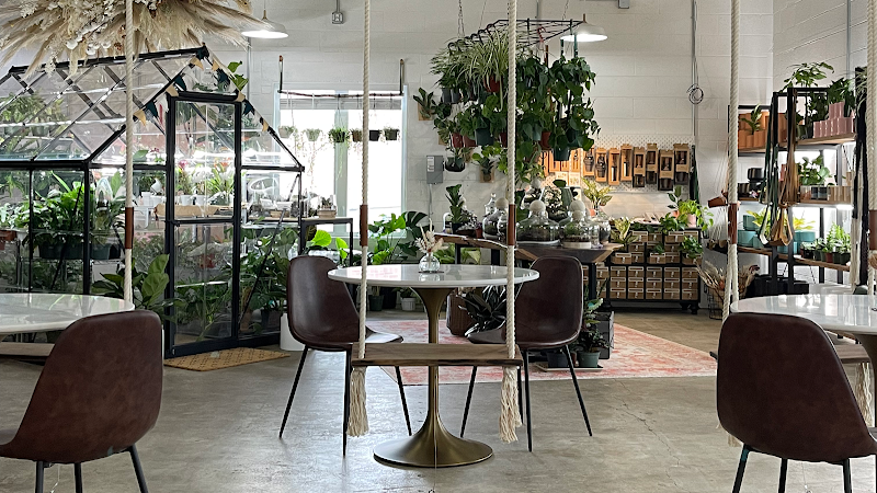 Dandy Lion Coffee Co. photo 1