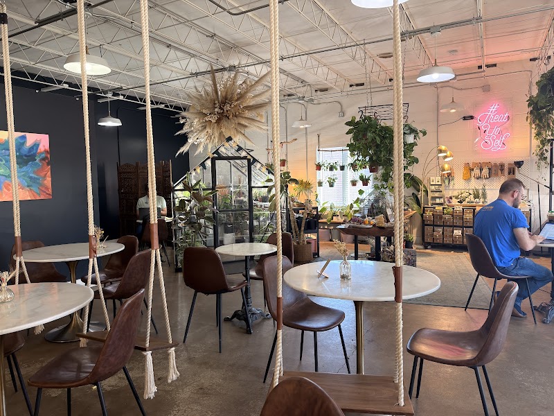 Dandy Lion Coffee Co. photo 4