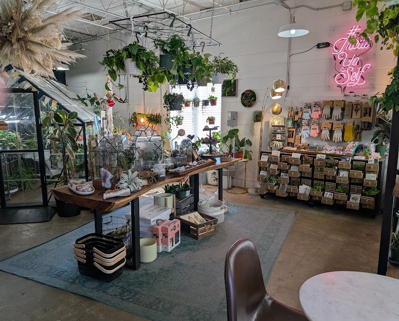 Dandy Lion Coffee Co. photo 4