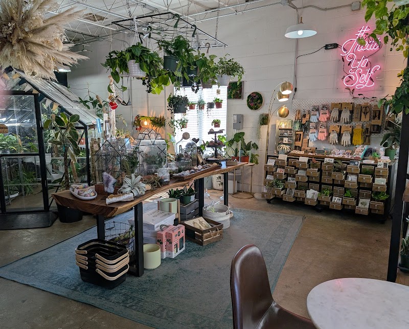 Dandy Lion Coffee Co. photo 4