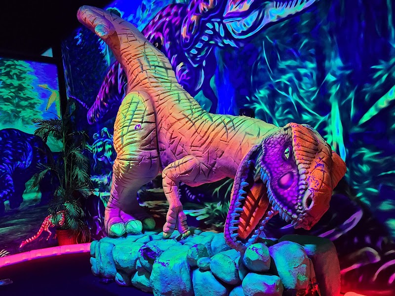 Shankz Mini Golf & Arcades — Miniature Golf Course in The Woodlands