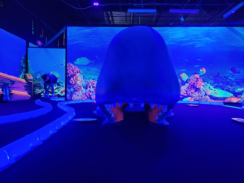 Shankz Mini Golf & Arcades photo 8