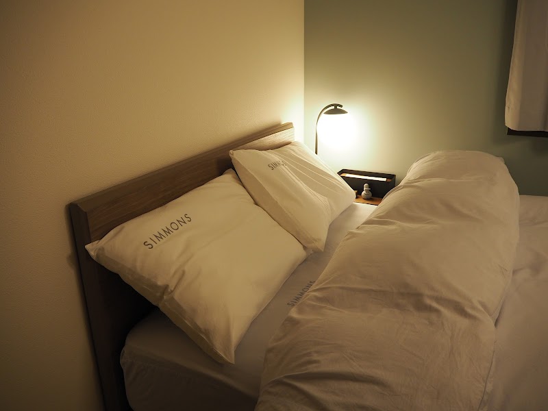 Shinichirou Sauna Shisetsu（しんいちろうサウナ施設） 2