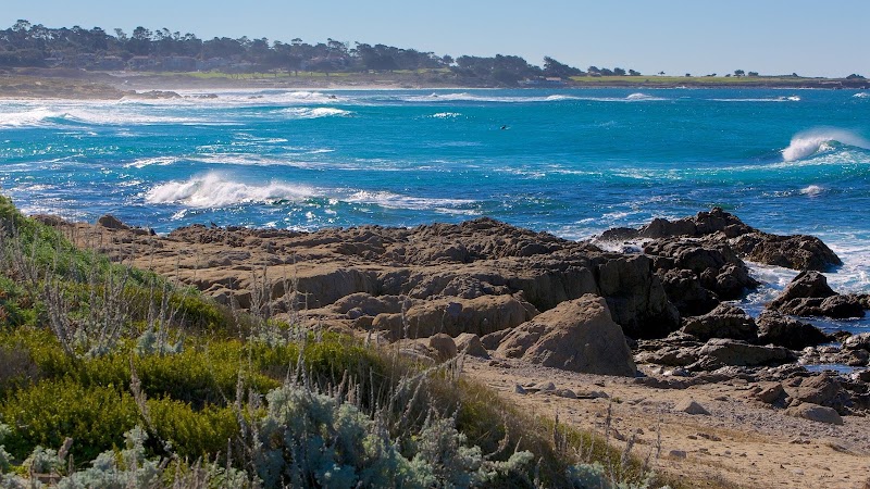 Asilomar State Beach in Carmel-by-the-Sea
