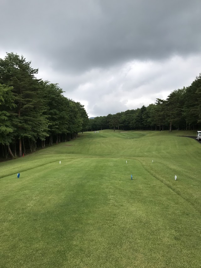 Beginner Golf Course - Photo 2