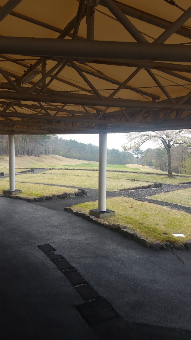 Beginner Golf Course - Photo 8