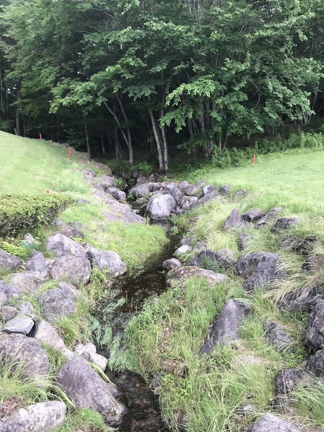 Beginner Golf Course - Photo 5