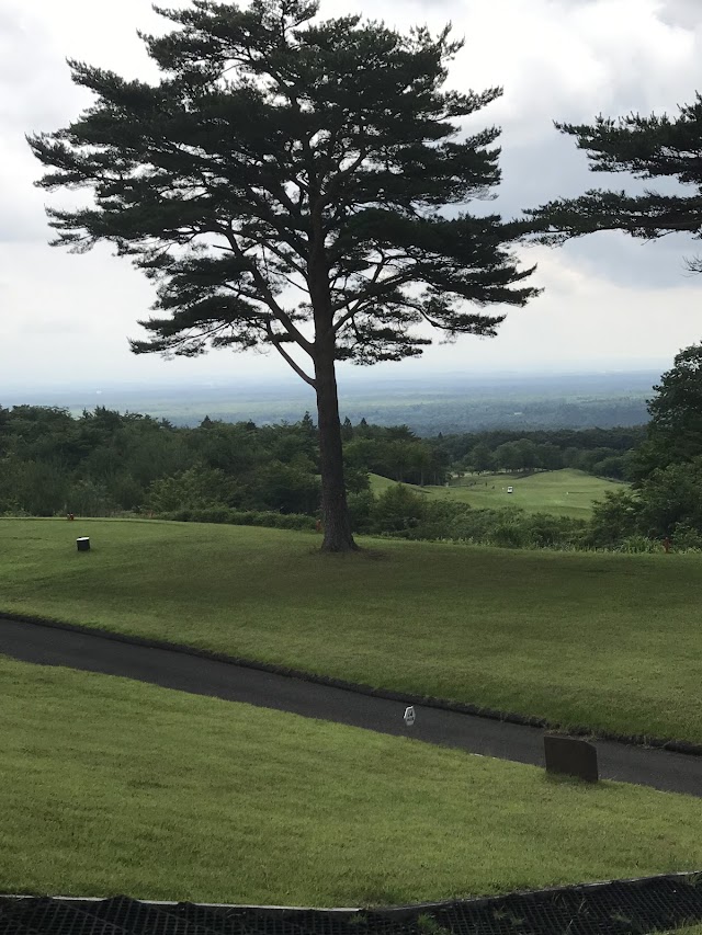 Beginner Golf Course - Photo 3