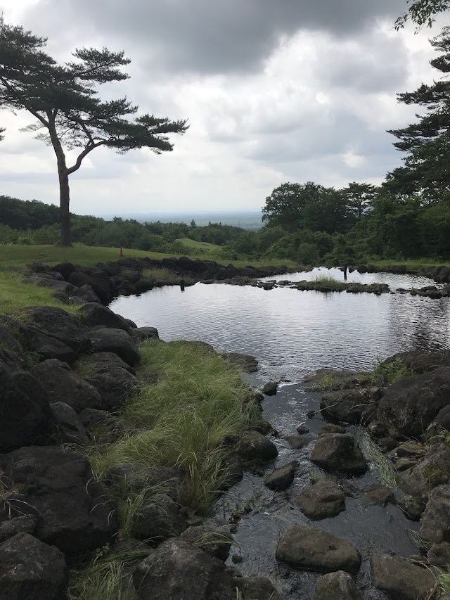 Beginner Golf Course - Photo 4