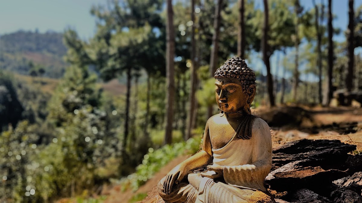 Hridaya Family Meditation & Yoga Retreat Center — 4