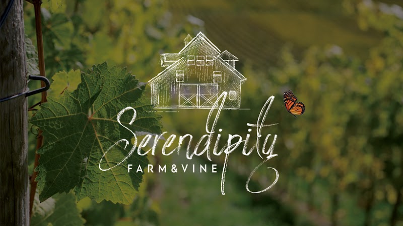 Serendipity Farm & Vine photo 1