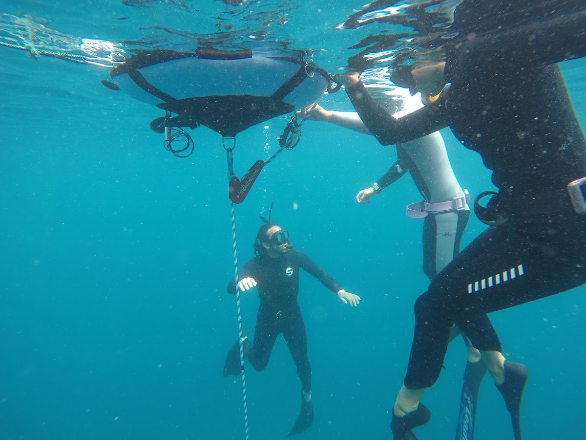 Freedive Koh Tao - Freediving school & training center — 3