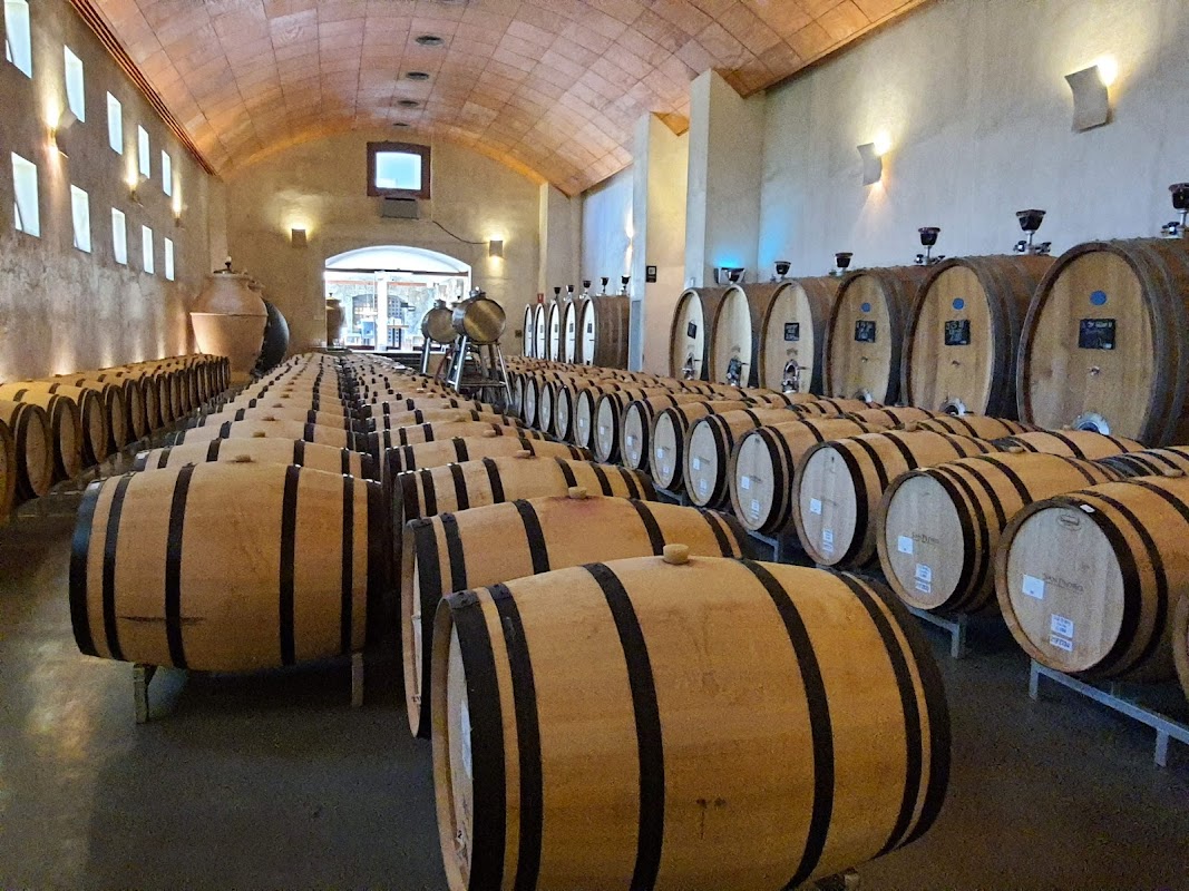 Viña San Pedro Cachapoal Andes