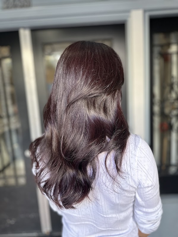 Tulip Salon portfolio