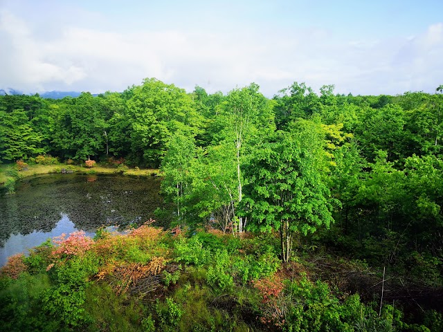 Hokkaido Country Club Onuma Course - Photo 6
