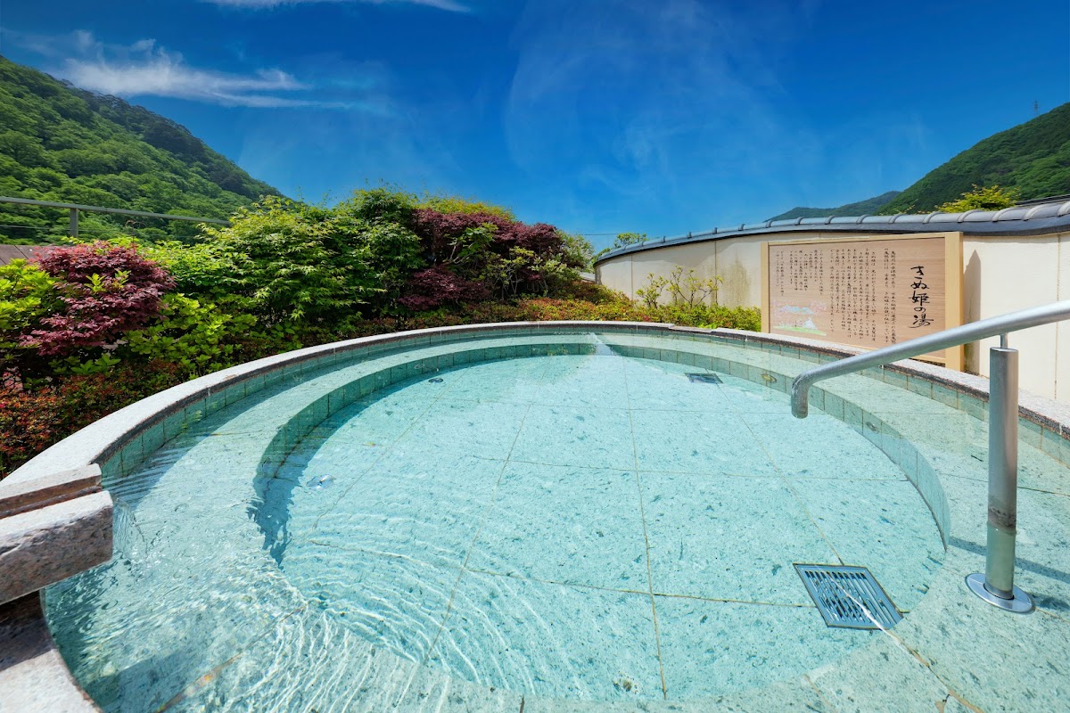 Asaya Hotel Kinugawa - ryokan in Kinugawa Onsen, Tochigi (3)