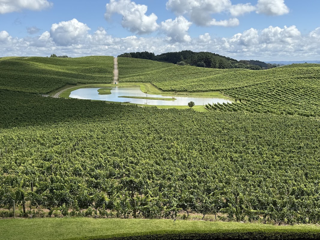 Luiz Argenta