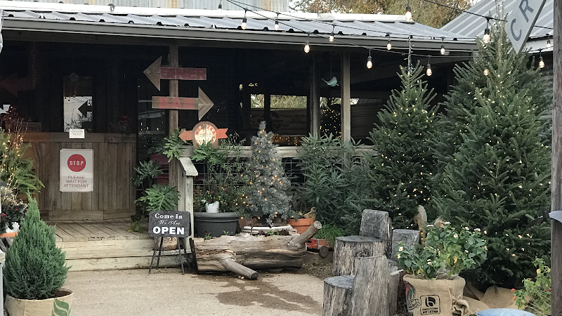 Hullabaloo Diner photo 3