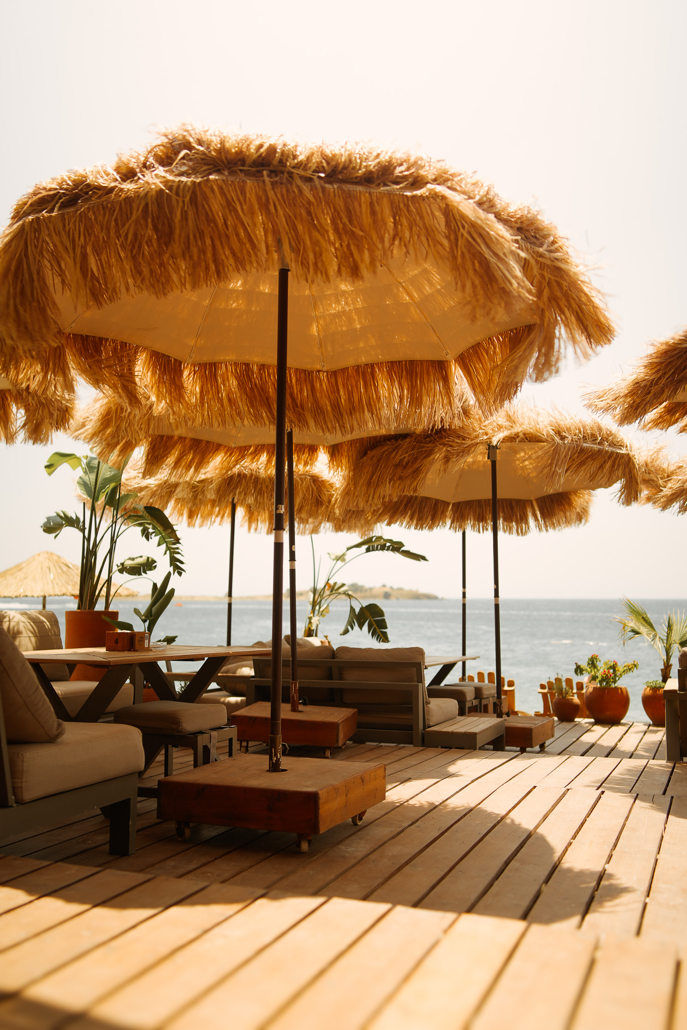 Bongo Beach mekanı