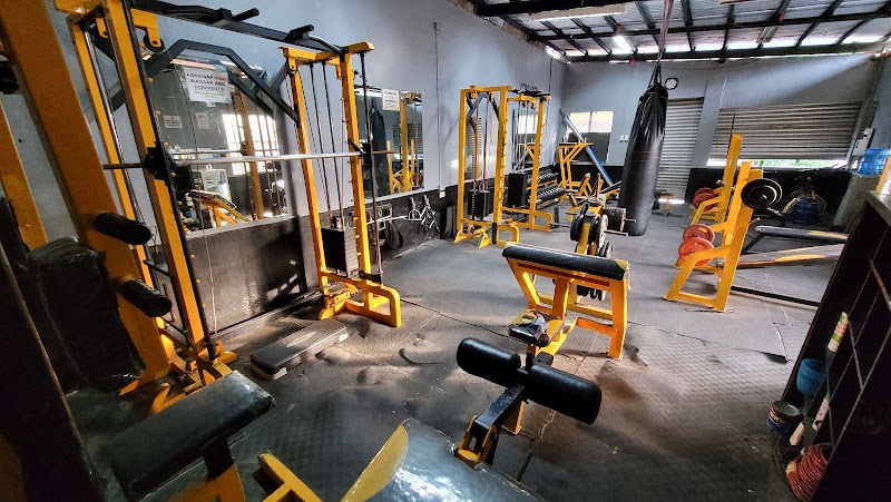 Muscles At Work GYM