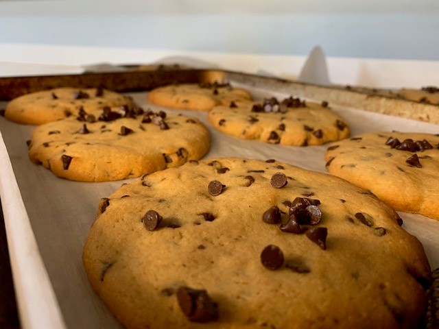 Gwynneville Bakery photo 6