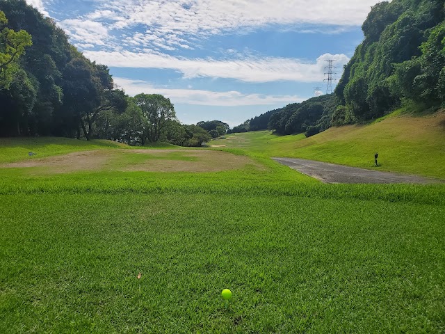 Moon Lake Golf Club Kurate Course - Photo 1