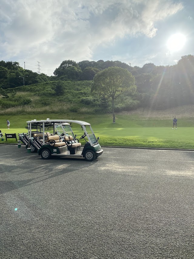 Moon Lake Golf Club Kurate Course - Photo 6