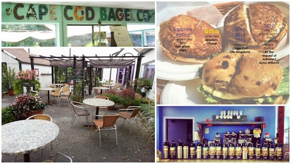 Cape Cod Bagel