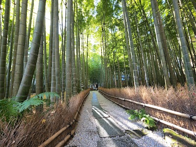 Hokokuji Bamboo Grove - 1