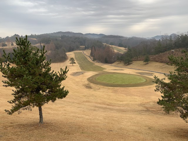 Sayo Star Resort Golf Club - Photo 5
