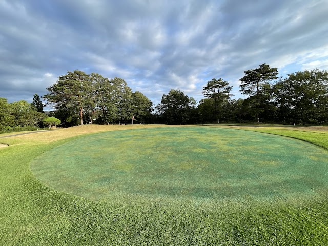 Sayo Star Resort Golf Club - Photo 2