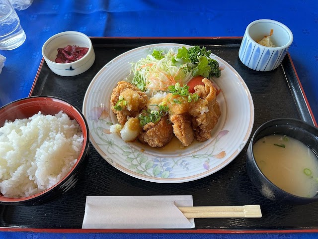 Sayo Star Resort Golf Club - Photo 9