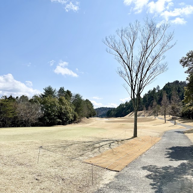Arita Risol Golf Club - Photo 2
