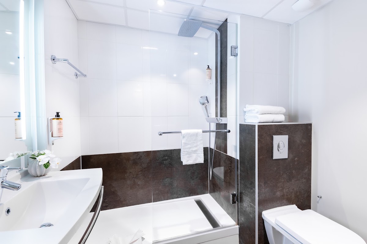 Mercure Colmar Centre Unterlinden, dog-friendly hotel, photo 2
