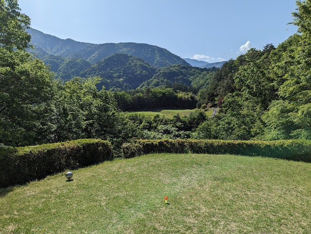 Fuji River Country Club - Photo 9