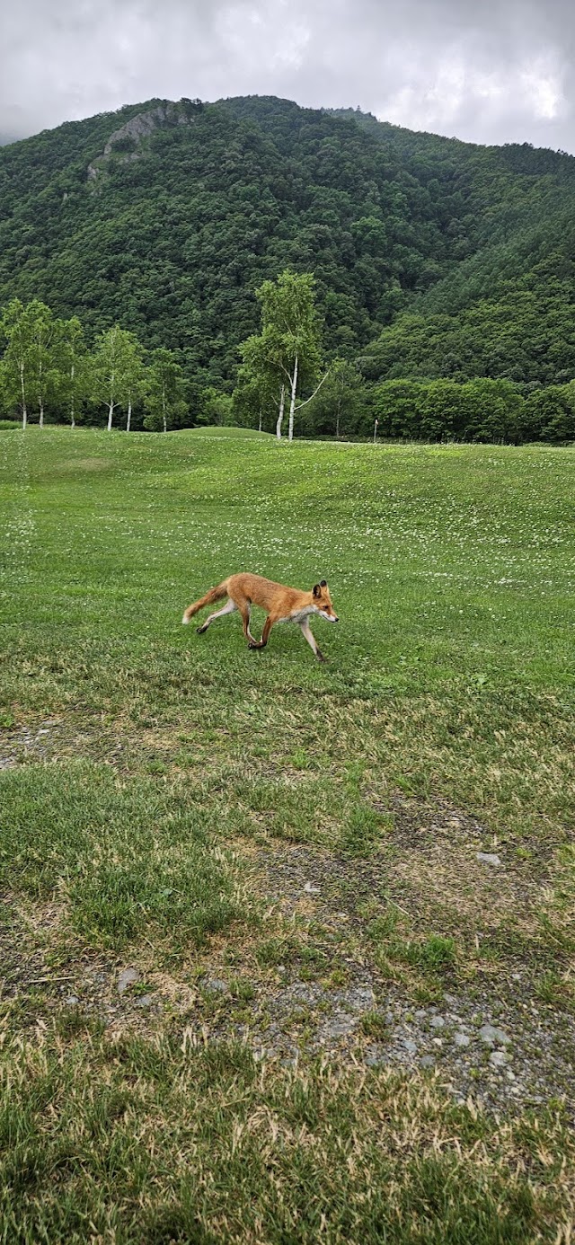 Kamishihoro Golf Course - Photo 5