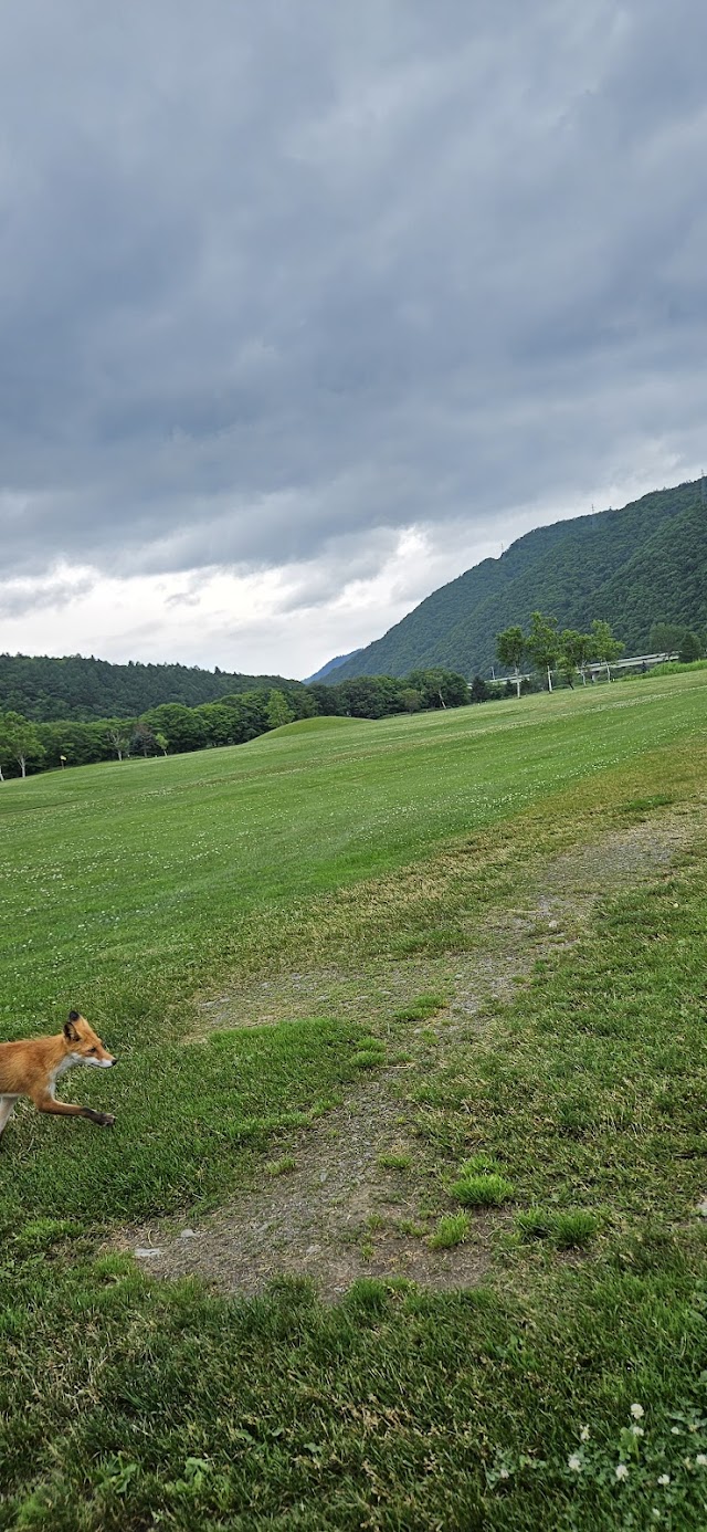 Kamishihoro Golf Course - Photo 4
