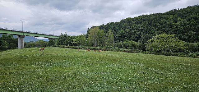 Kamishihoro Golf Course - Photo 1