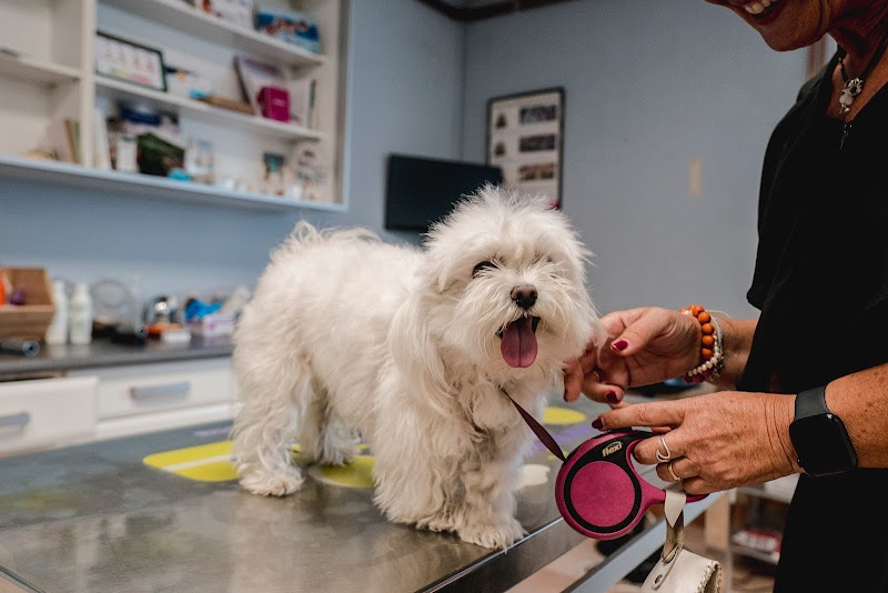 Clínica Veterinaria Castaños