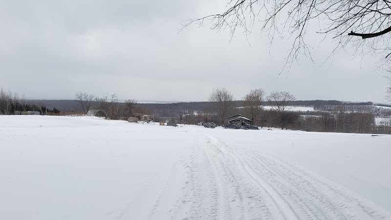 Finger Lakes Hunting Preserve - Photo 2