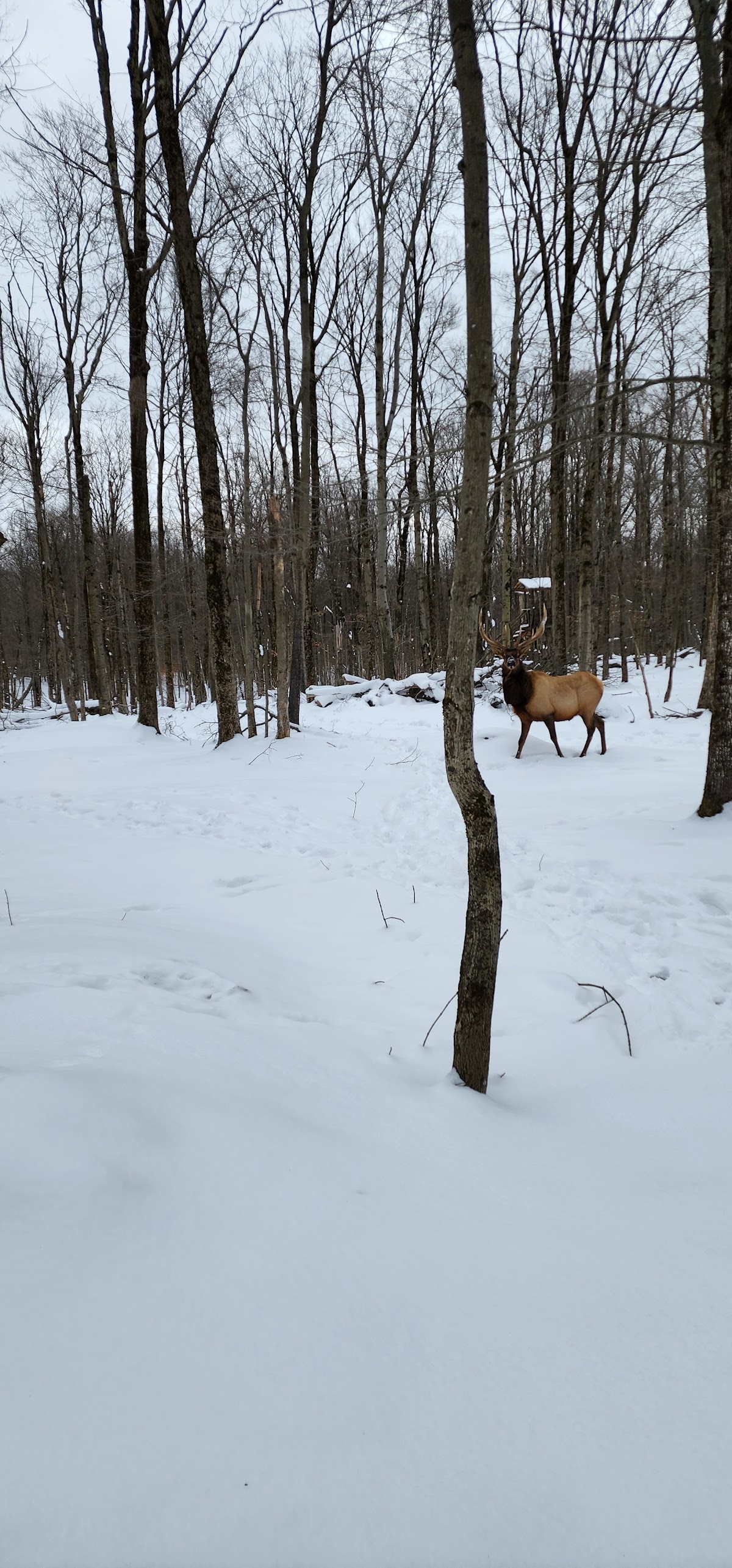 Finger Lakes Hunting Preserve
