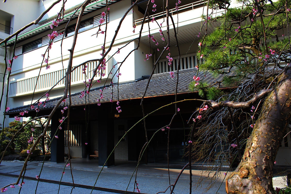 Unazuki Onsen Enraku - ryokan in Unazuki/Kurobe Gorge, Toyama