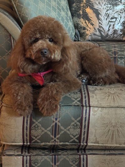 Woof Gang Bakery & Grooming NorthShore