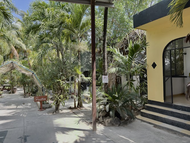 Hostel Oryx Tulum