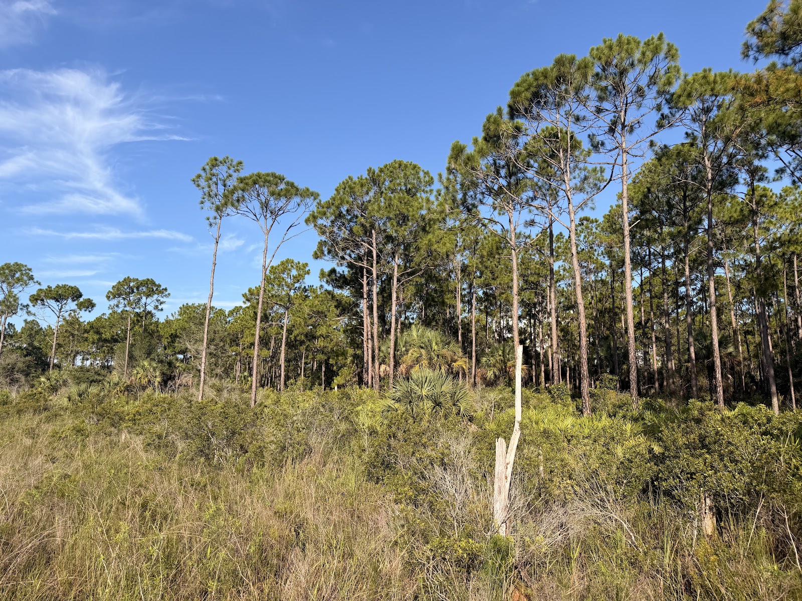 Everglades Day Safari: Sanibel Pickup